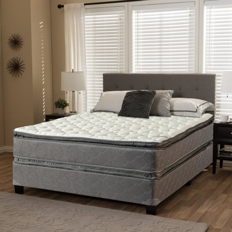 Spinal Solution 12 Plush Pillow Top Mattress And Box Spring Reviews Wayfair,Wayfair Houston Texas