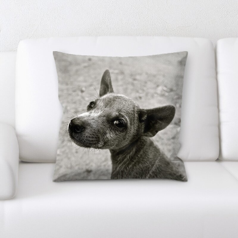 dog couch pillow