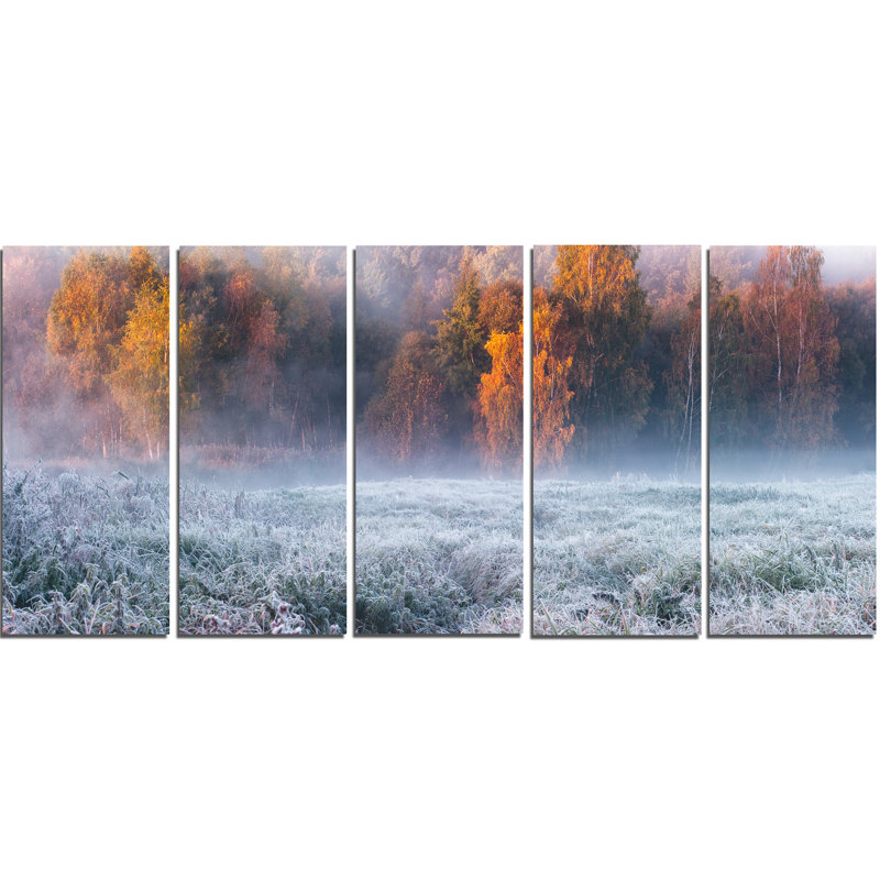 Designart Grey Hoarfrost Design By Winter 5 Piece Wall Art On