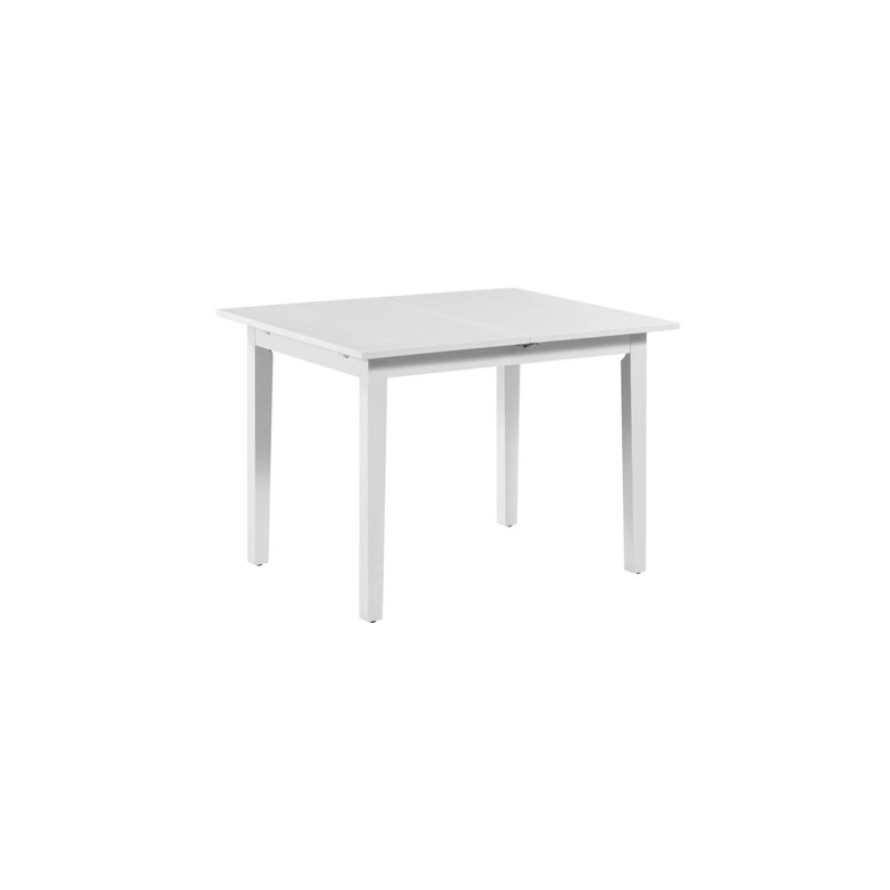 Winston Porter Spiller 5 Piece Extendable Solid Wood Dining Set