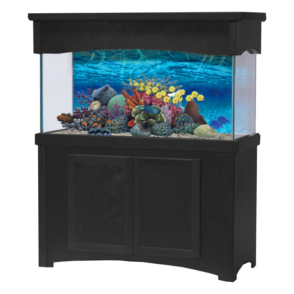 55 gallon hexagon aquarium hood
