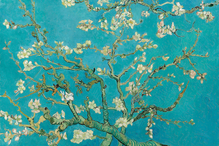 Vault W Artwork Almond Blossom 1890 By Vincent Van Gogh