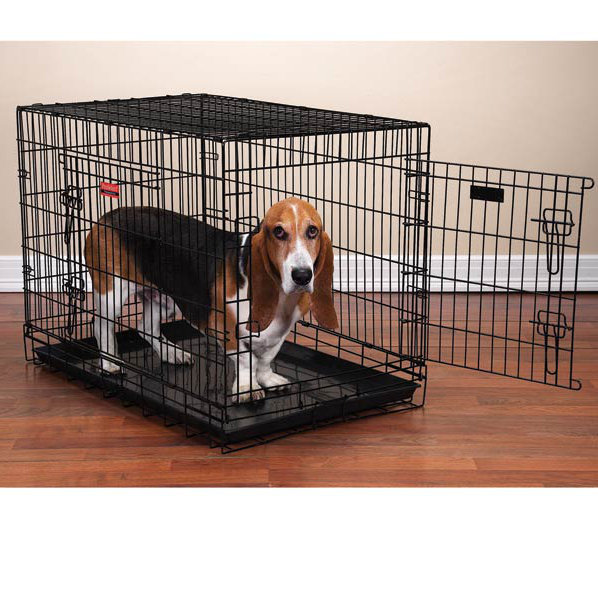 proselect everlasting folding pet crate & reviews | wayfair proselect everlasting folding pet crate & reviews | wayfair