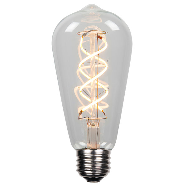 5W E26 Dimmable LED Edison Light Bulb by Wintergreen Lighting