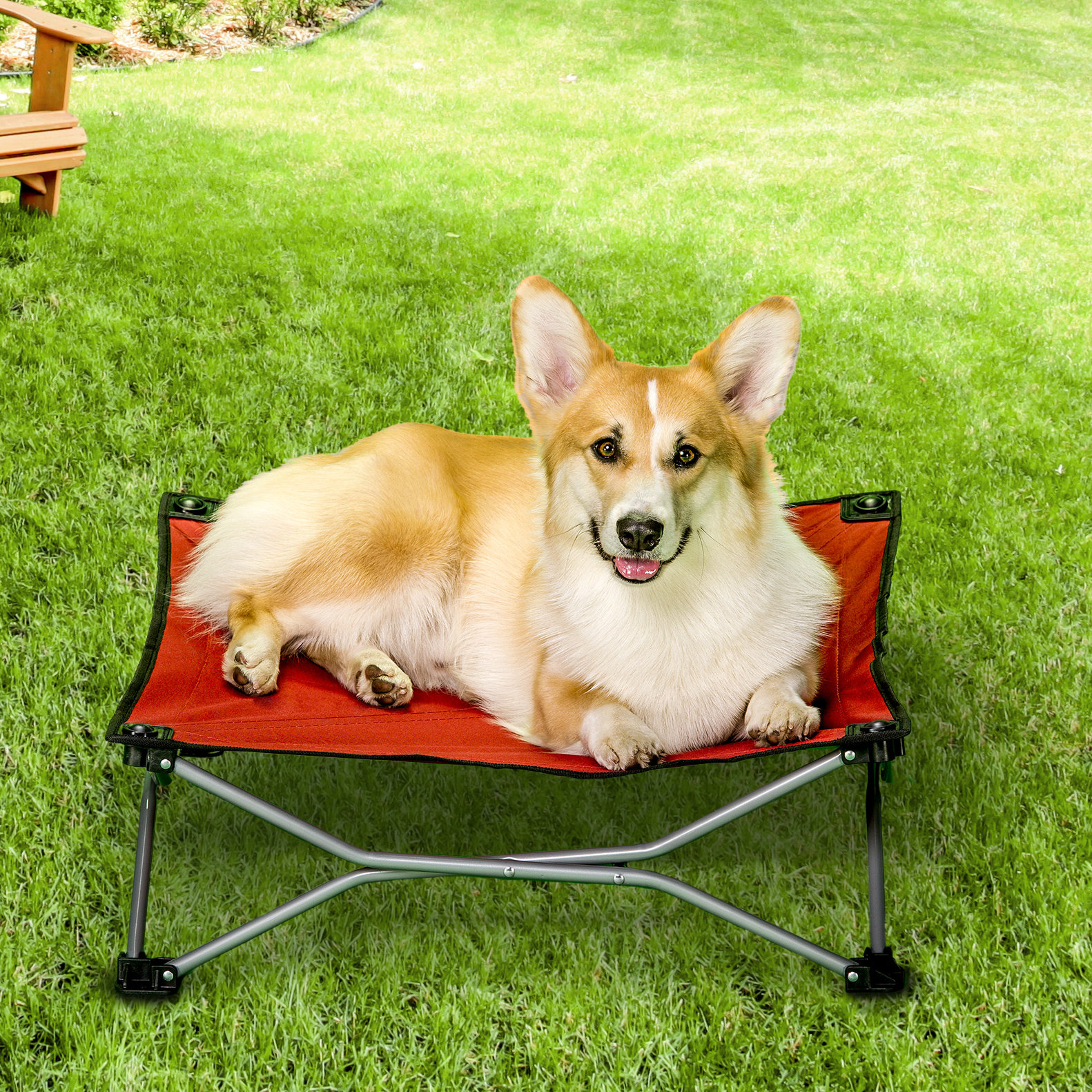 Carlson Pet Portable Pup Travel Dog Cot & Reviews Wayfair.ca