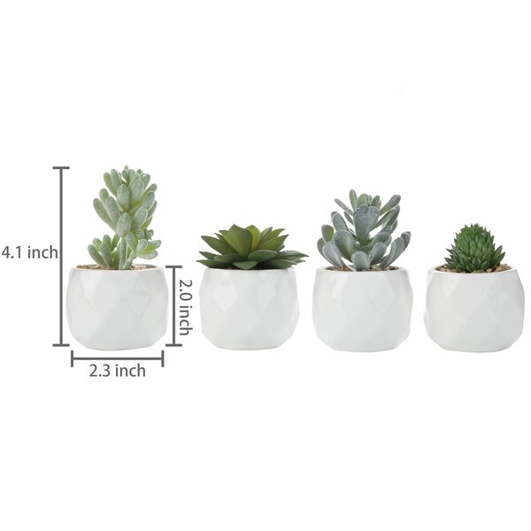 Dakota Fields 4 - Piece Artificial Succulent Plant in Pot | Wayfair