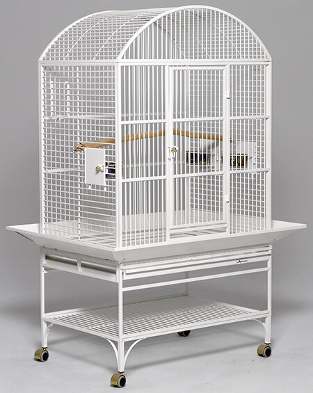 white bird cage