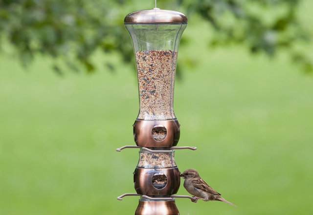Best-Selling Bird Feeders