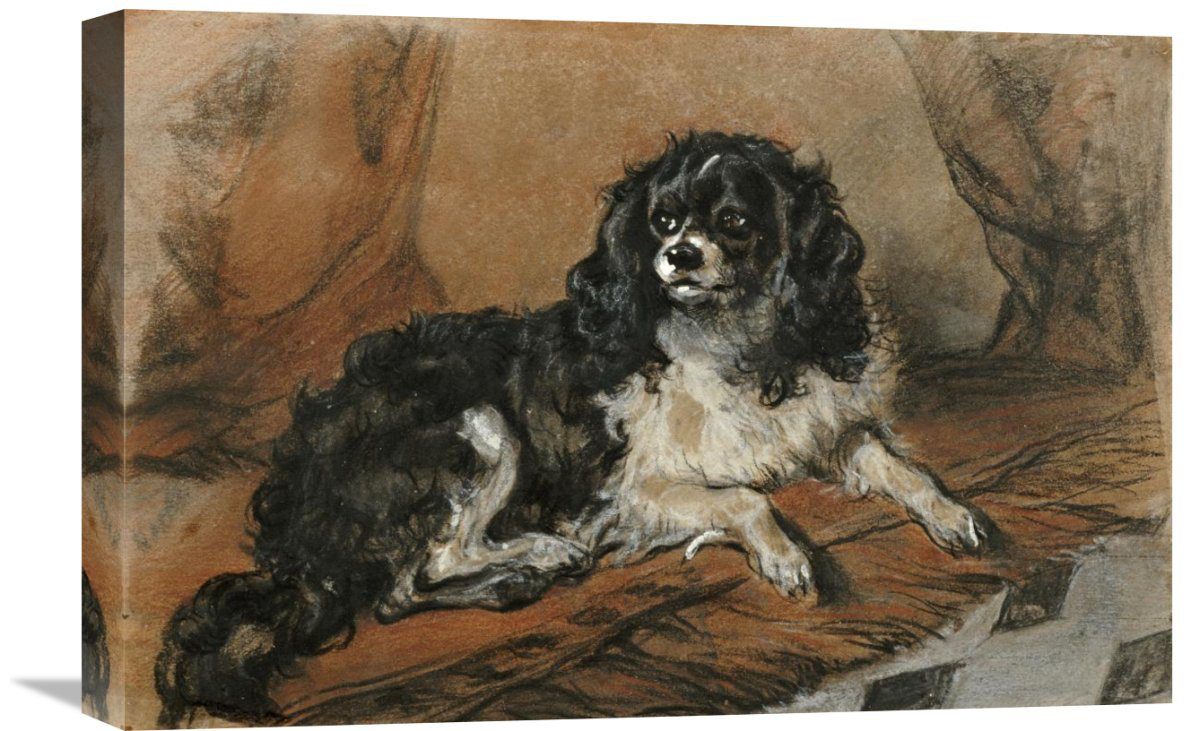 sir charles dog breed