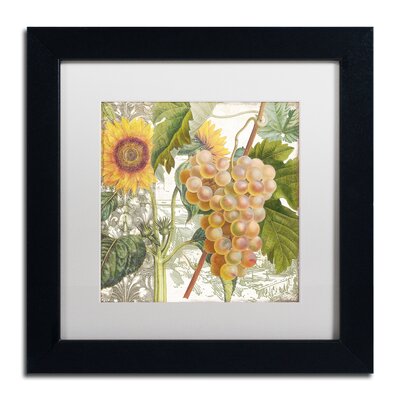 'Dolcetto IV' by Color Bakery Framed Graphic Art Trademark Fine Art Size: 11