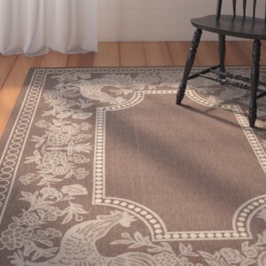 Margo Chocolate/Natural Indoor/Outdoor Area Rug