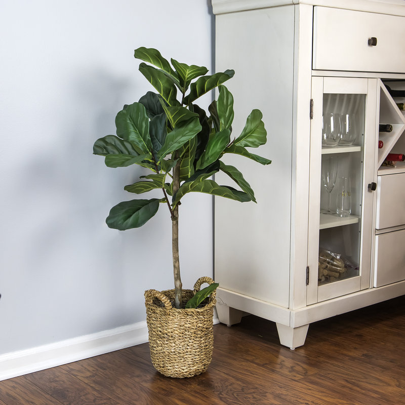 30" Artificial Fiddle Leaf Fig Tree in Basket & Reviews