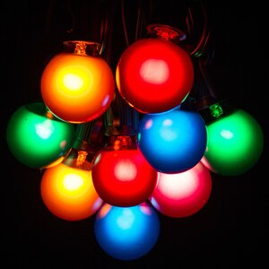 50-Light Globe String Lights