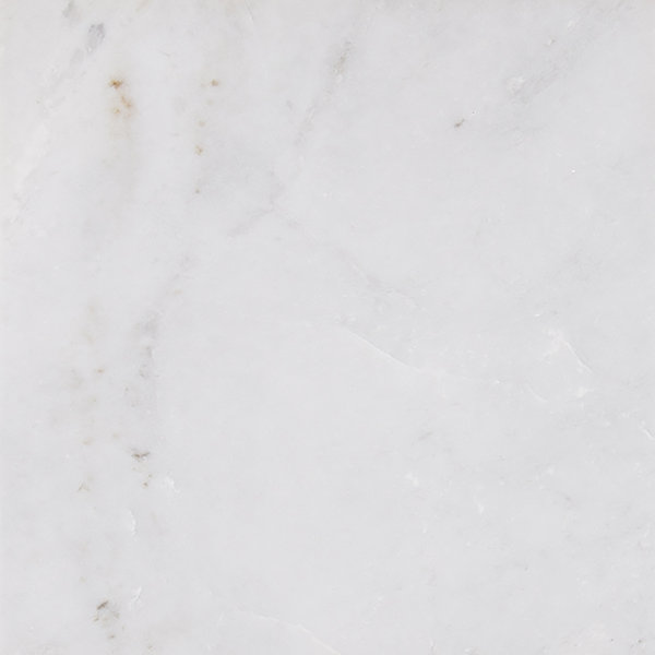 12 x 12 Marble Field Tile in Arabescato Carrara by MSI