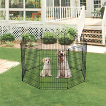 dog fence for sale near me