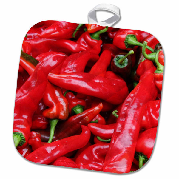 By The Way Giclee Canvas Album Cover Picture Art Red Hot Chilli Peppers