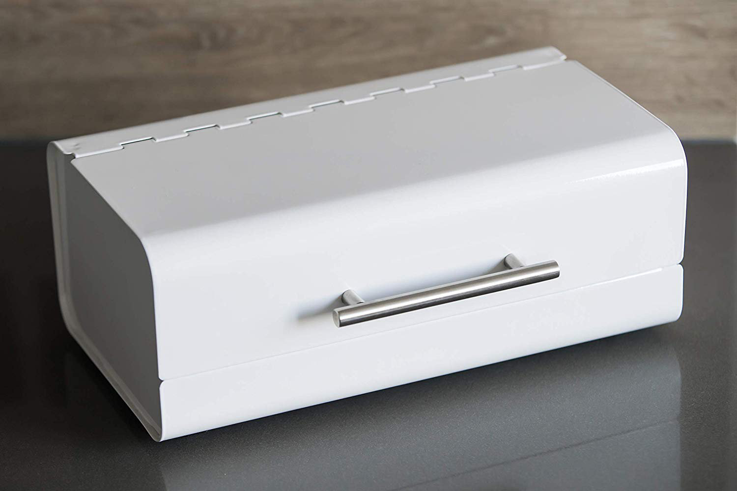 Rebrilliant Ferrill Sleek Modern Bread Box For Kitchen Counter