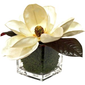 Faux Cream Magnolia in Vase
