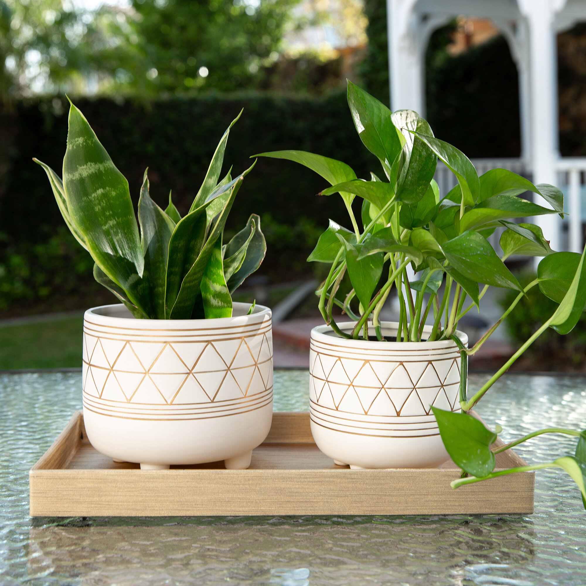 Ceramic Planters You Ll Love In 2021 Wayfair