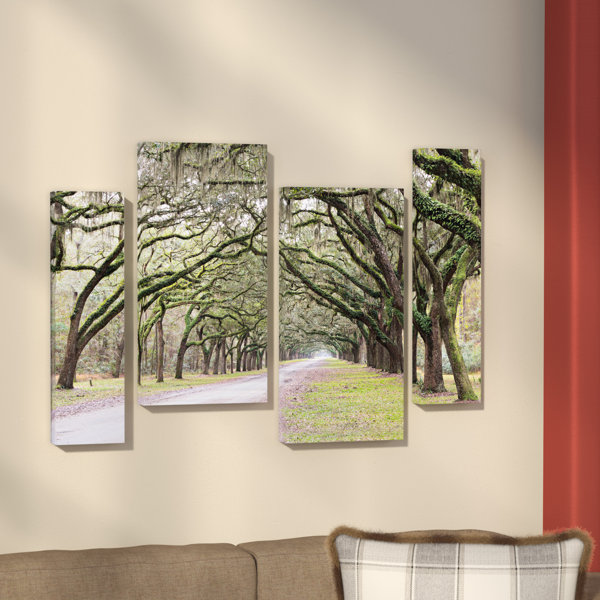 Loon Peak Oak Trees With Spanish Moss In Savannah Georgia 2 By