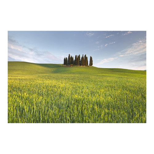 Green Field in Tuscany 2.55m x 3.84m Textured Matt Peel & Stick Wall Mural East Urban Home