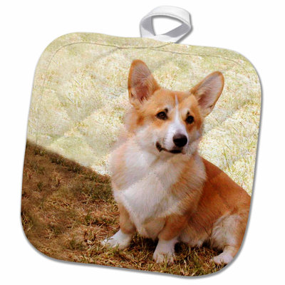 3dRose Pembroke Welsh Corgi Potholder 3dRose