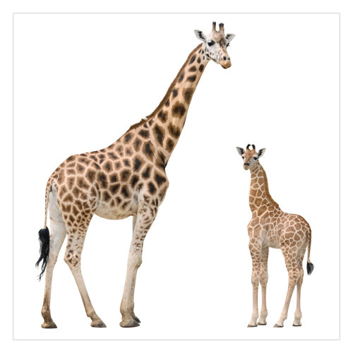 Giraffe Mother and Child 2.4m x 2.4m Textured Matt Peel & Stick Wall Mural East Urban Home