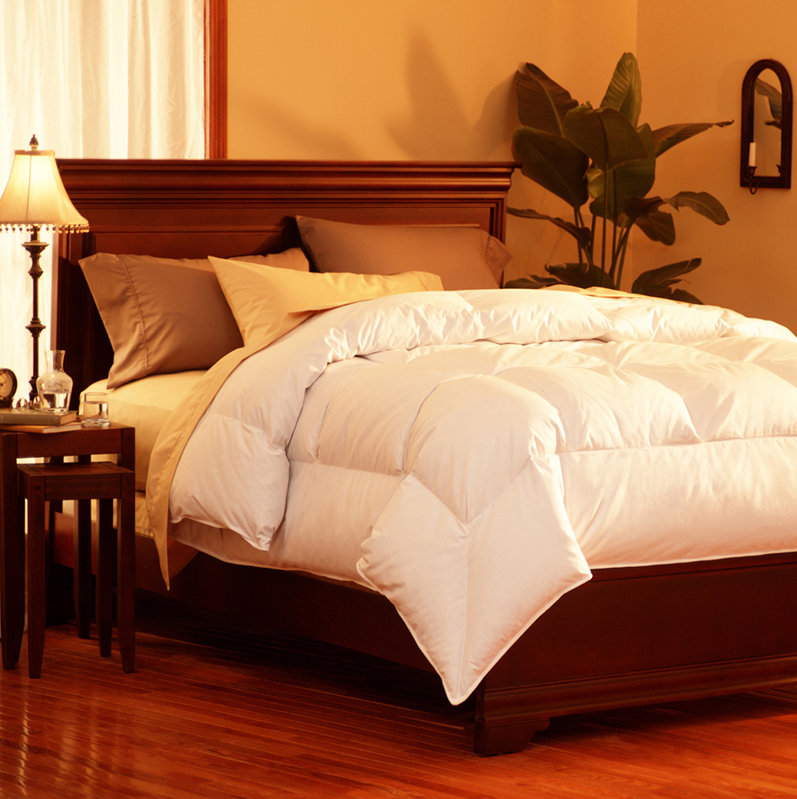 Pacific Coast Feather Midweight Down Comforter & Reviews Wayfair