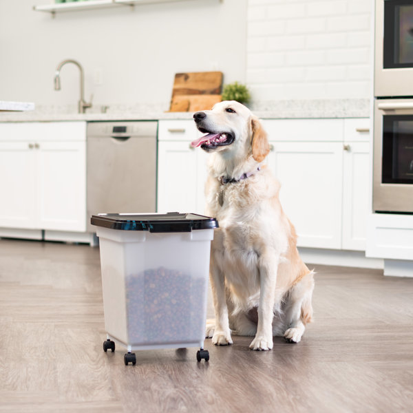 Rebrilliant Zed Airtight 32 5 Qt Food Storage Container Wayfair