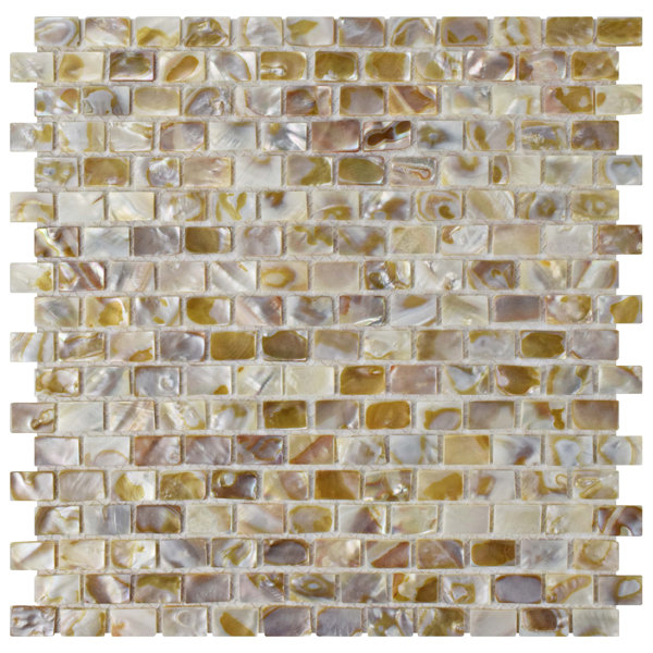 Shore 1 x 1 Seashell Mosaic Tile in Textured Natural shell by EliteTile