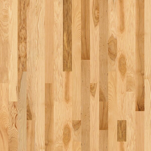 Cambridge Hickory 3-1/4 Solid Hickory Hardwood Flooring in Lufkin by Shaw Floors