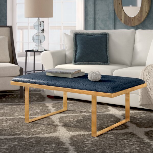 Ostrich Sled Coffee Table By Willa Arlo Interiors