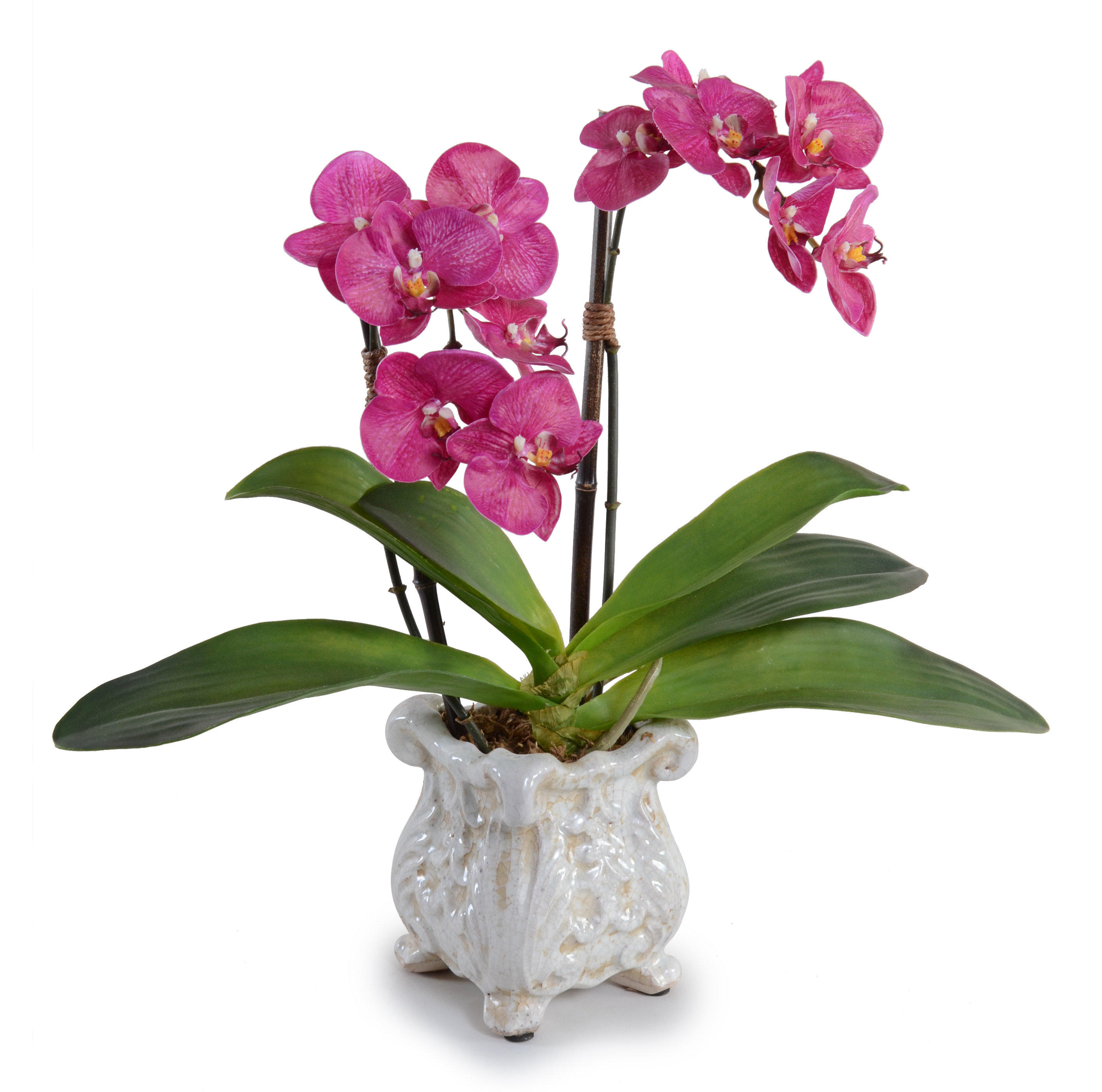 New Growth Designs Fuchsia Double Faux Phalaenopsis Orchid In Pot New Growth Designs Fuchsia Double Faux Phalaenopsis Orchid In Pot Reviews Wayfair