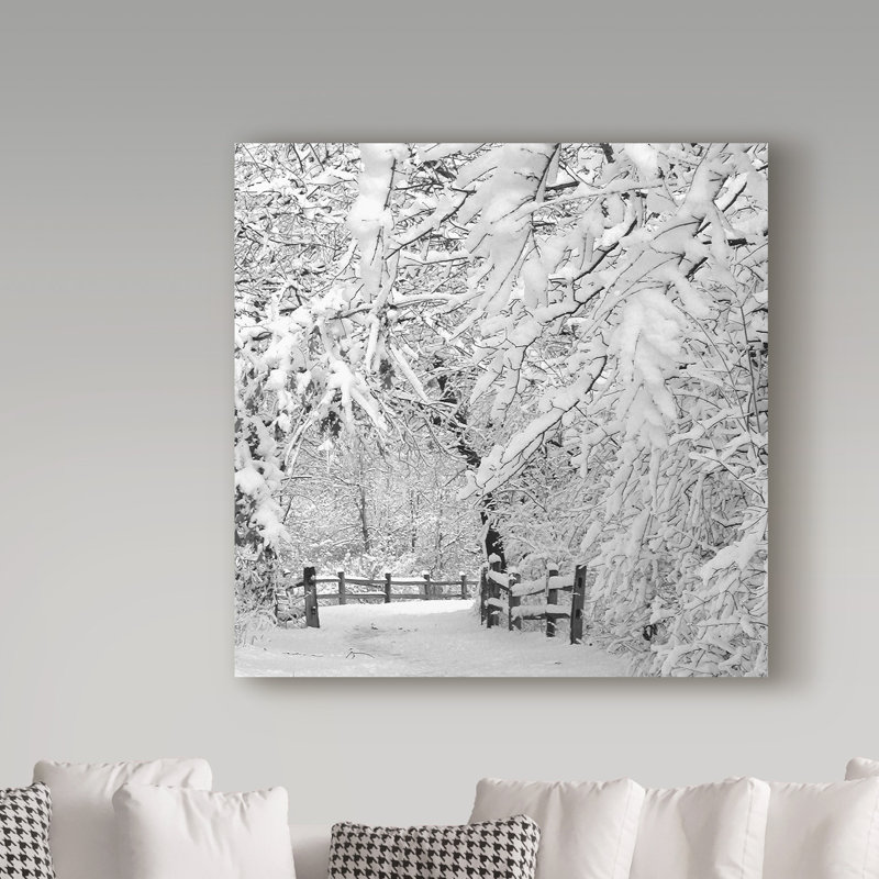 Trademark Art Winter Wonderland White Photographic Print On