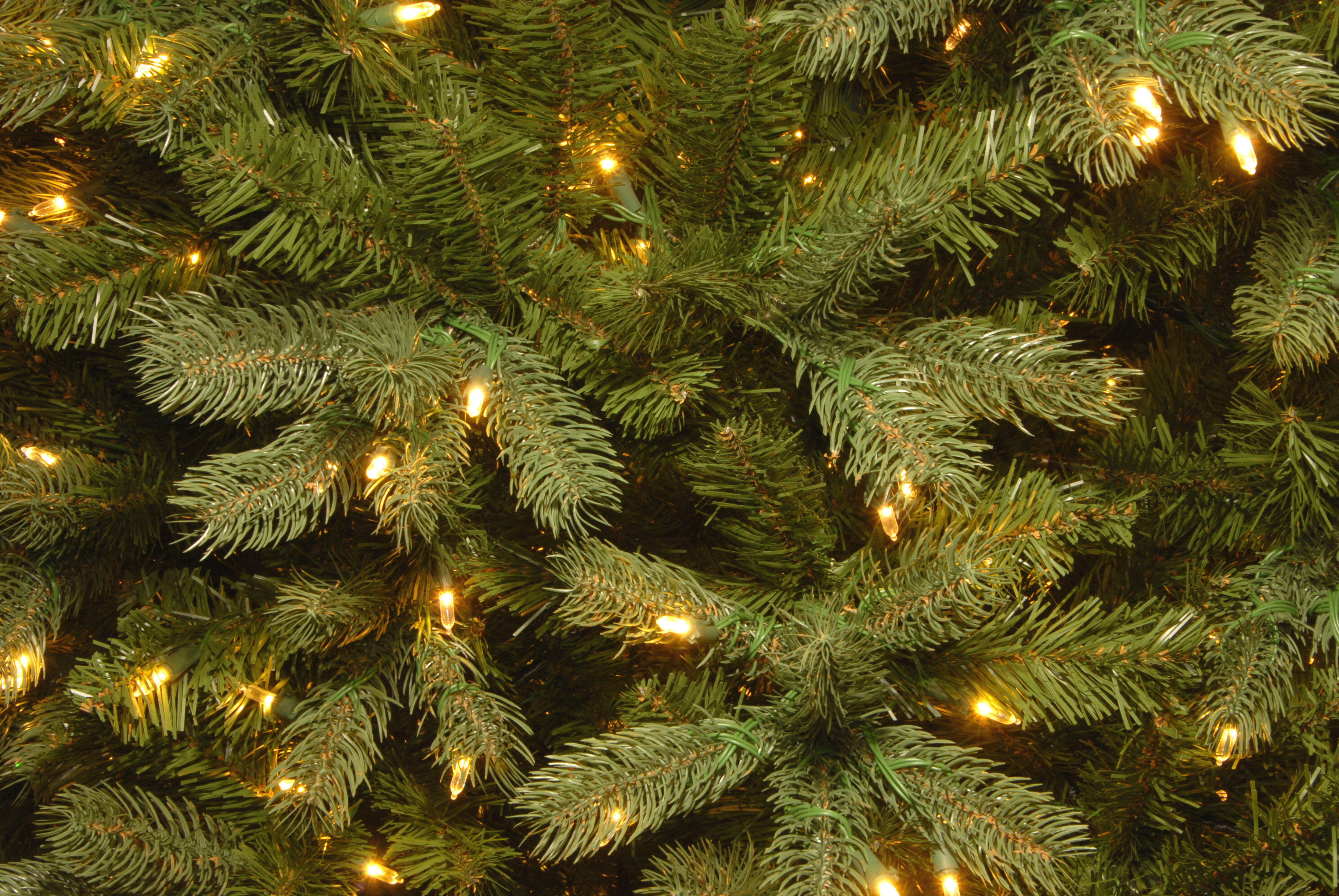 The Holiday Aisle Downswept Douglas 4 5 Green Fir Artificial Christmas Tree With 300 Dual Color Led Lights Includes Stand Reviews Wayfair The Holiday Aisle Downswept Douglas 4 5 Green Fir Artificial Christmas Tree With 300 Dual Color Led Lights Includes Stand Reviews Wayfair