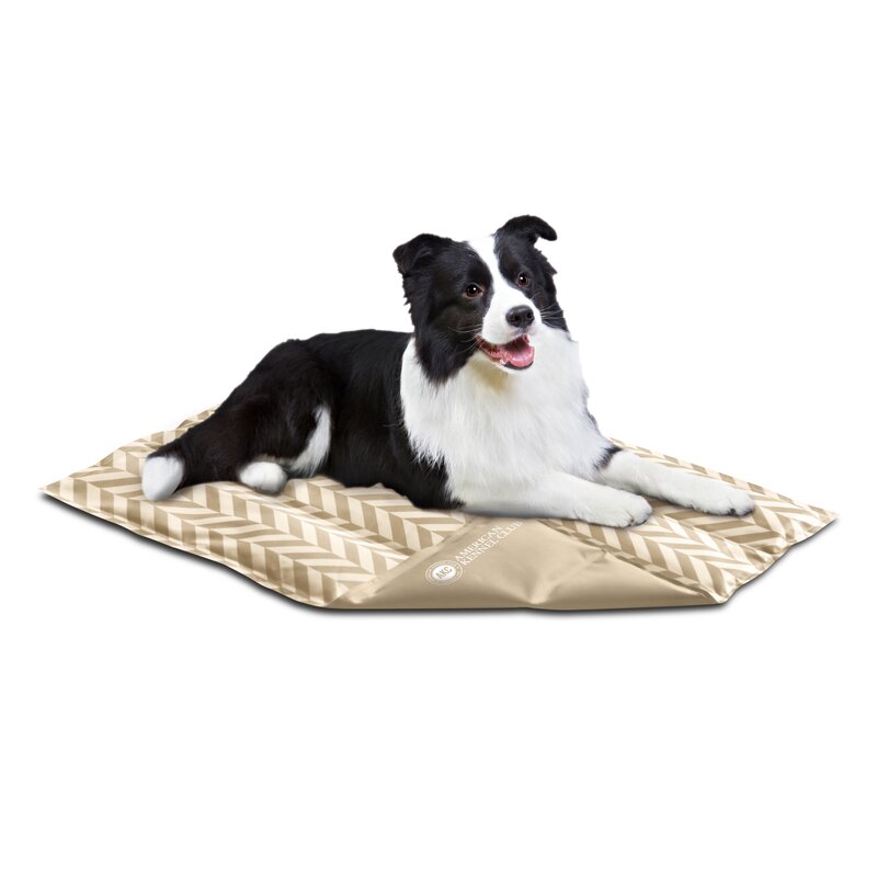 the cool pet pad reviews