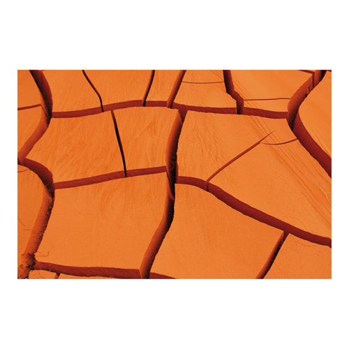 African Land 2.55m x 3.84m Textured Matte Peel & Stick Wall Mural East Urban Home