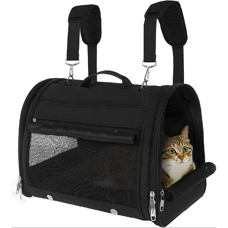 carry bag cat