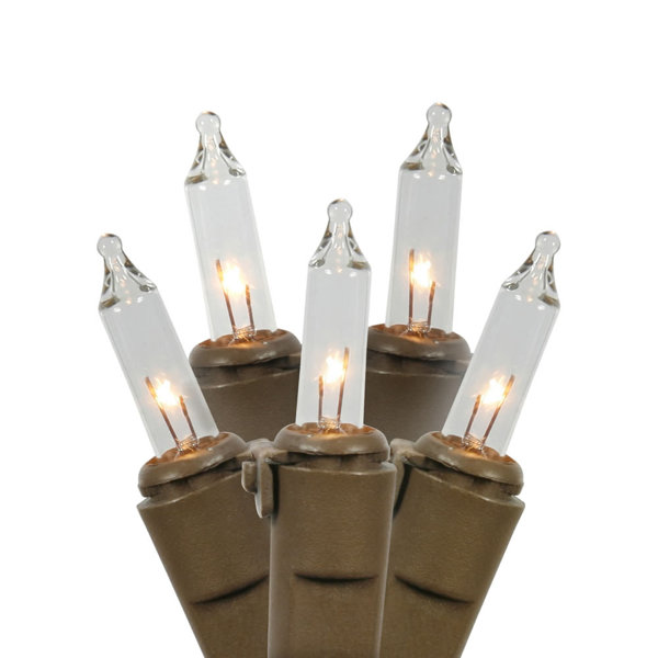100 Lights BW Ec Lock Set by Vickerman