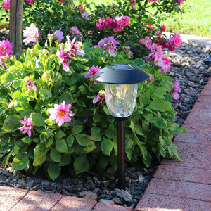 LED Landscape Lighting Set (Set of 4)