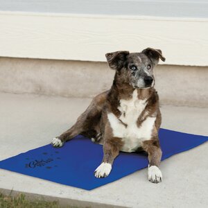 Coolin' Pet Mat