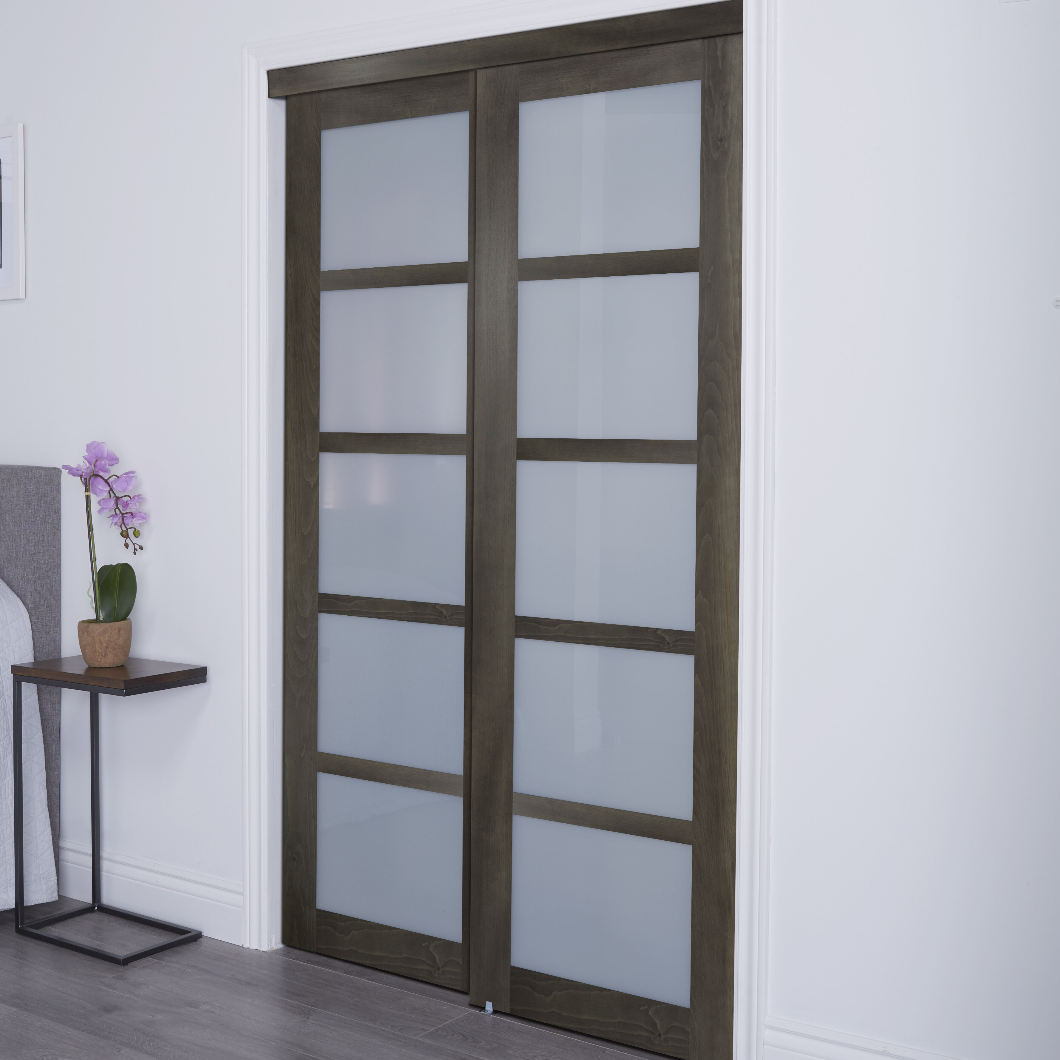 Erias Home Designs Baldarassario Glass Sliding Closet Doors