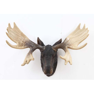 White Moose Head Wayfair Moose Head Wall Décor