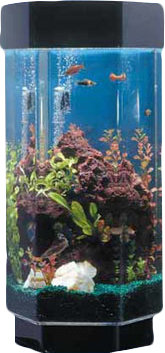 Alan 15 Gallon Scape Hexagon Alanrium Kit by Tucker Murphy Pet