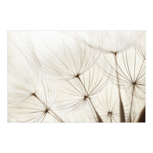 Gentle Grasses 2.55m x 384cm Wallpaper East Urban Home