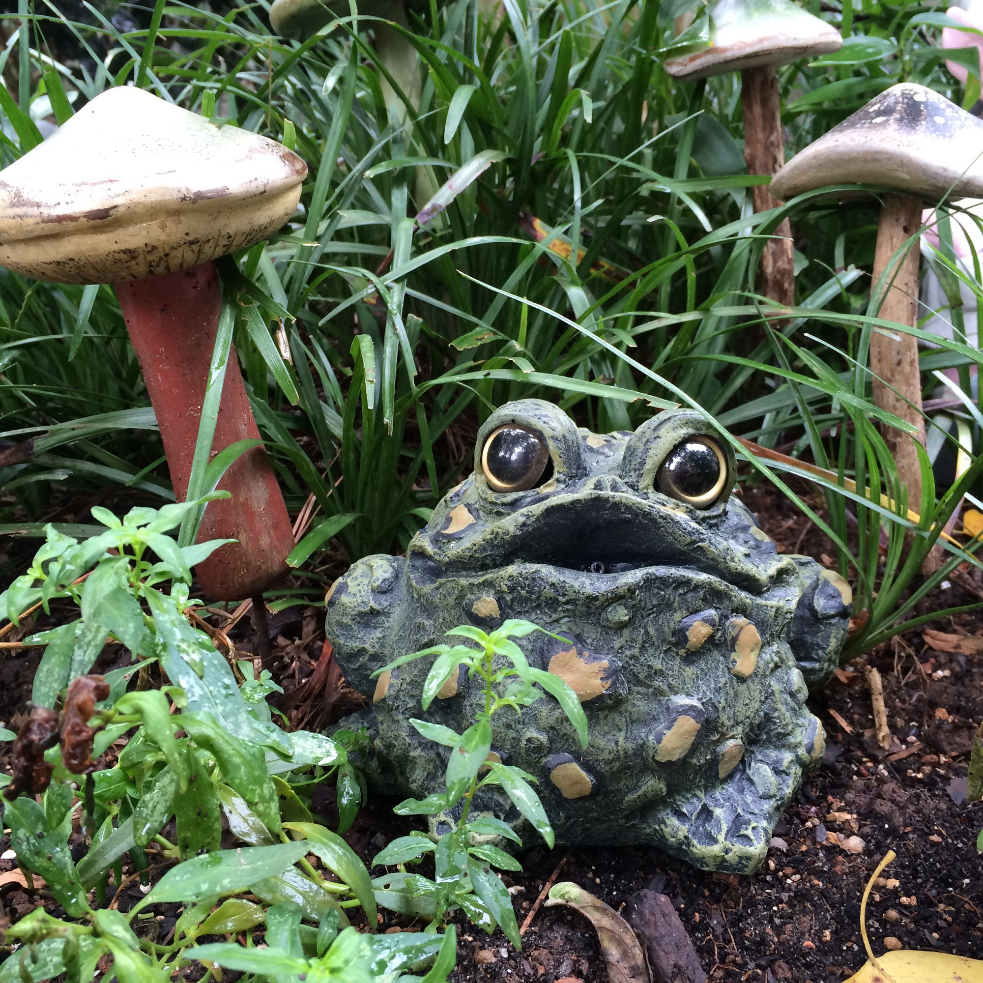 Homestyles Croaking Toad Statue Reviews Wayfair