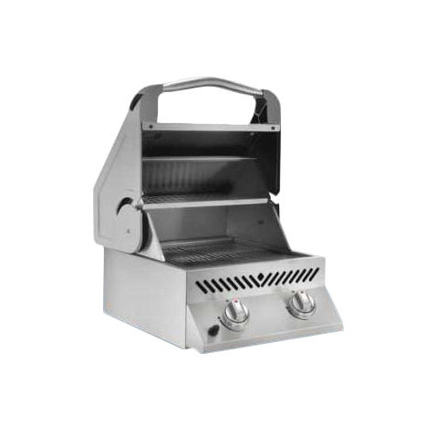 Built-In 2-Burner Built-In Propane Gas Grill by Napoleon