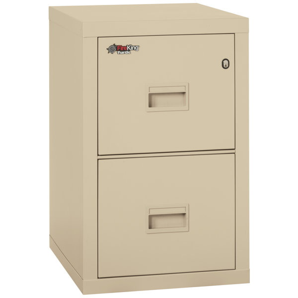 Turtle Fireproof 2-Drawer Vertical File Cabinet by FireKing