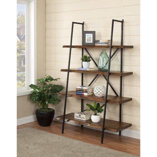 Ugarte Ladder Bookcase By Gracie Oaks