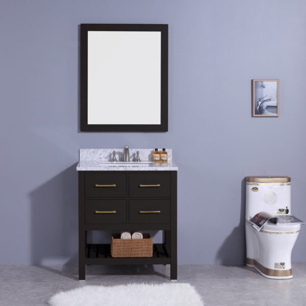 Rosemont 31 Single Bathroom Vanity Set with Mirror by Breakwater Bay